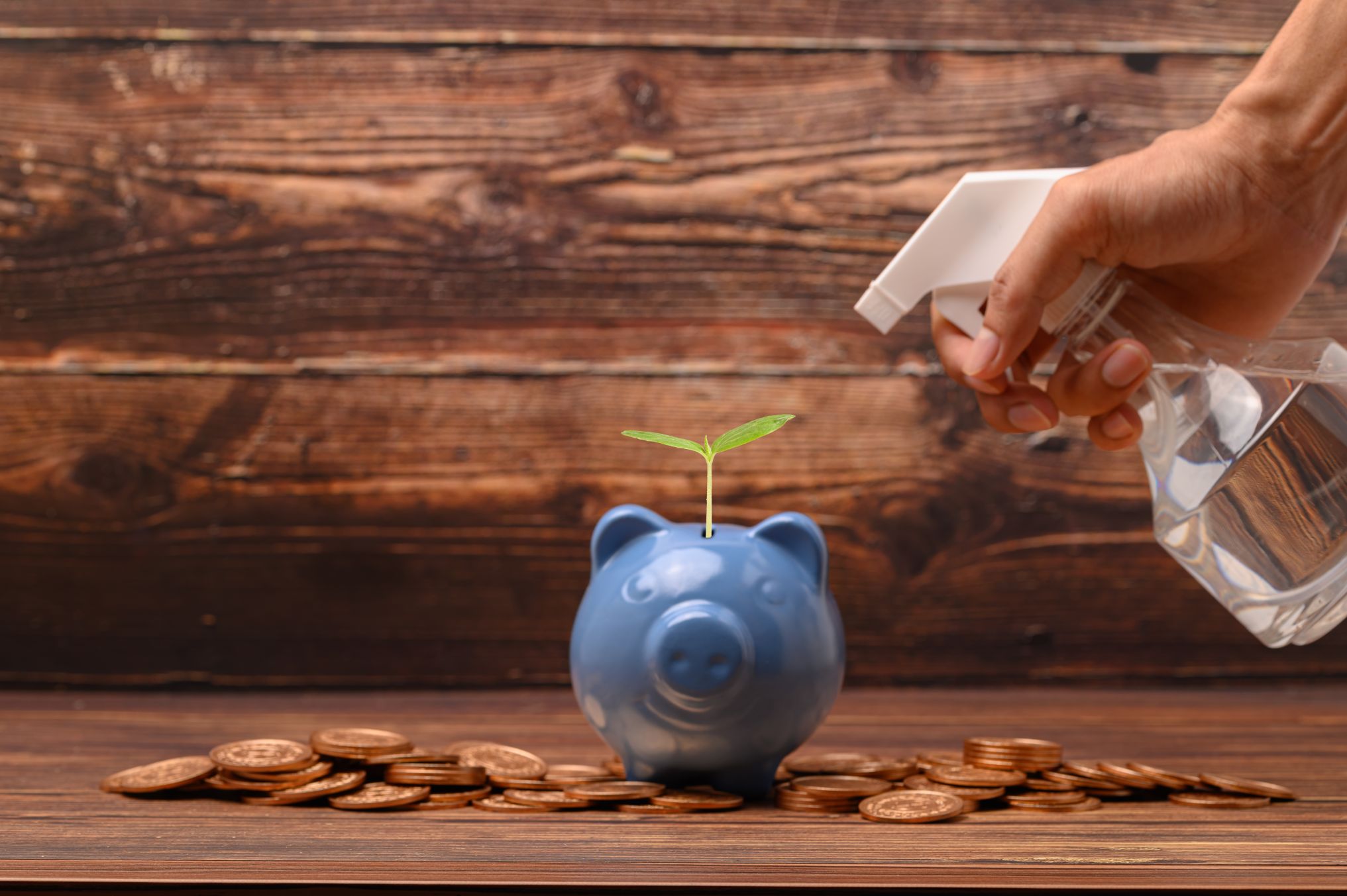A hand misting a seedling growing from a blue piggy bank beside scattered coins