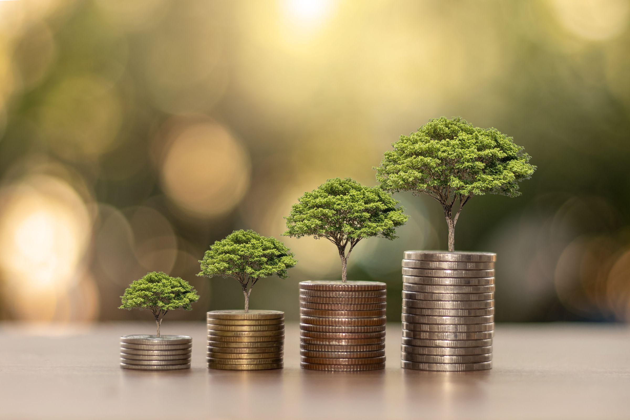 Four small trees growing from stacks of coins, each stack taller than the last