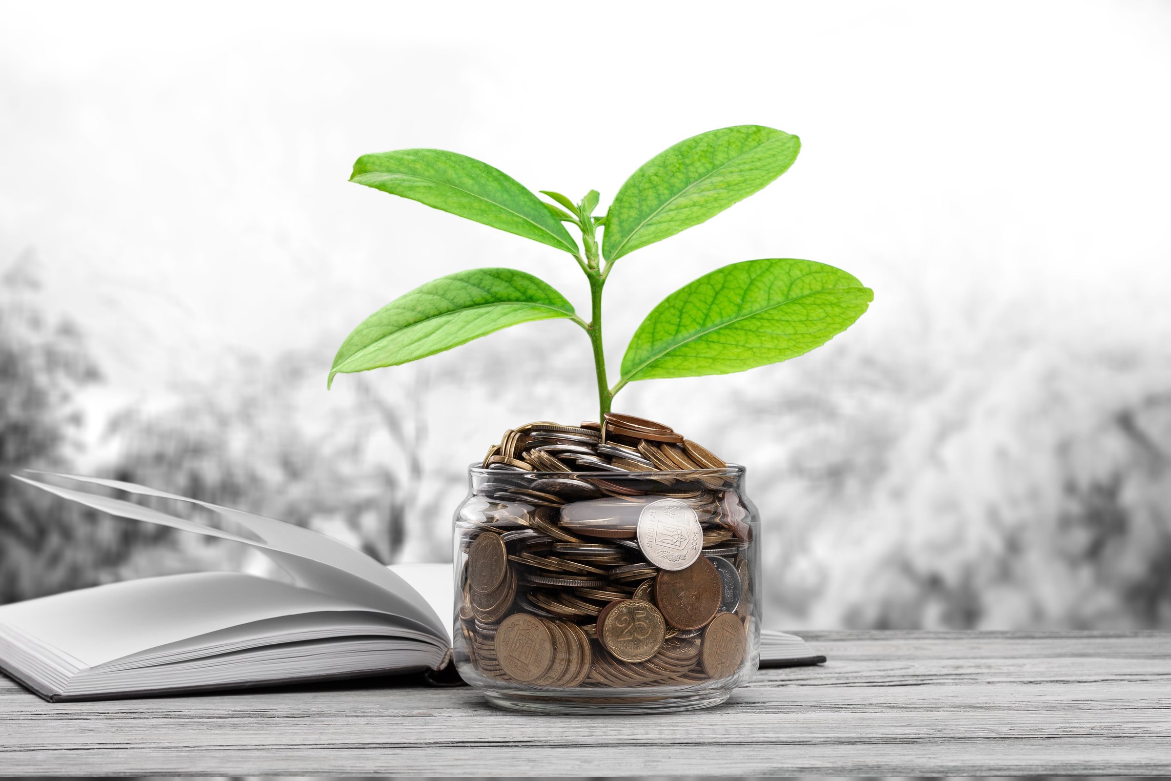 A seedling growing from a jar of coins on an open book