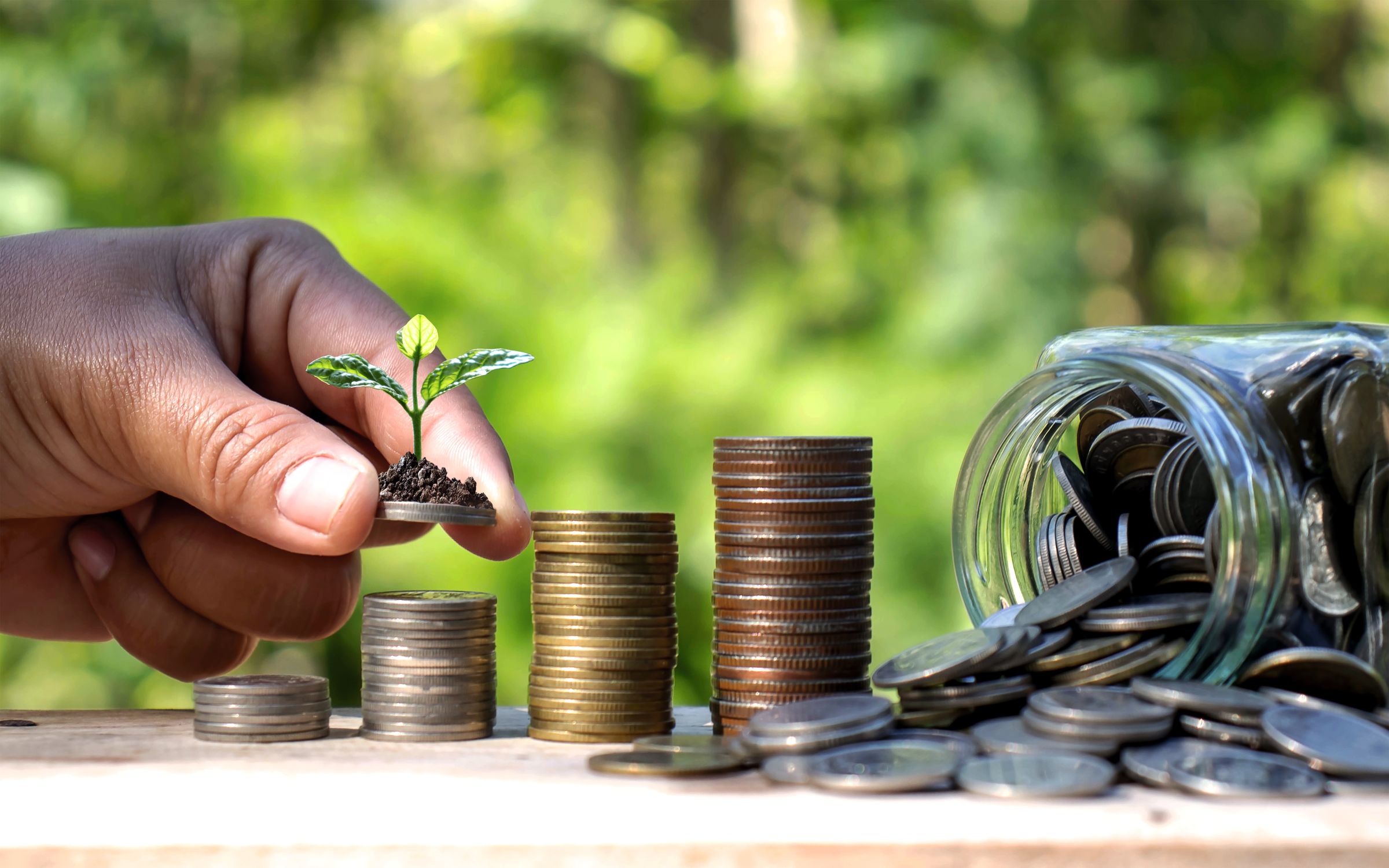 A hand setting a seedling on top of rising stacks of coins